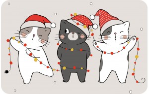 
			                        			Merry Chrismas